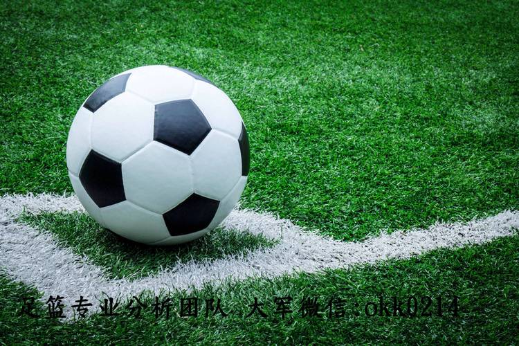 站群优化关键词